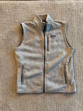 Mens NWOT grey PATAGONIA Vest